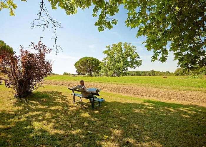 Domaine Du Buc , Les De Prestige Marssac-sur-Tarn